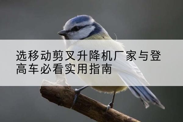 唐山电动升降机厂家-选移动剪叉升降机厂家与登高车必看实用指南