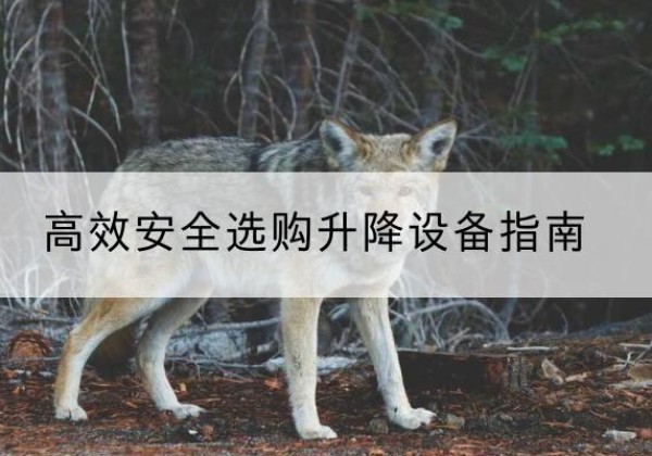 唐山升降货梯厂家推荐-*安全选购升降设备指南